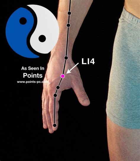 li 4 acupuncture point location.